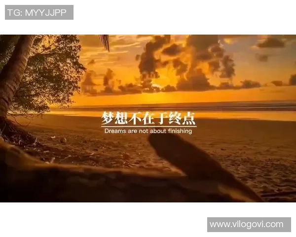 乌鸦篮球明星的传奇之路与梦想追逐的精彩故事 乌鸦篮球明星的传奇之路与梦想追逐的精彩故事